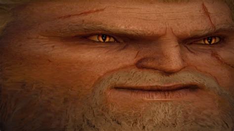witcher 3 tvtropes|The Witcher 3: Wild Hunt / YMMV .